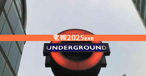 電報2025exe